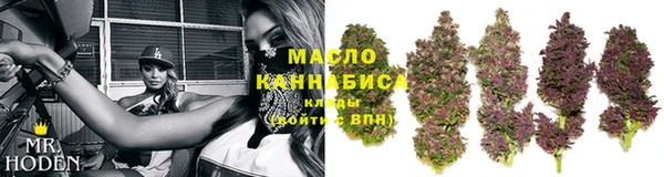 гидра Осинники