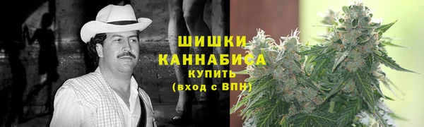 гидра Осинники