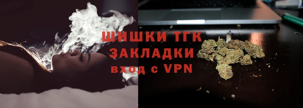 spice Осташков