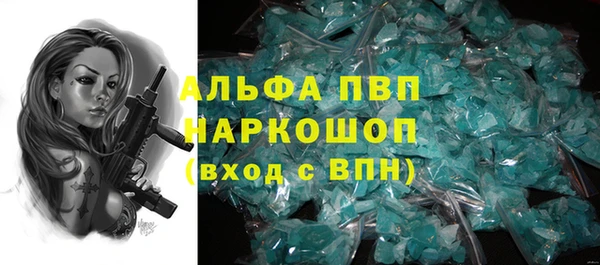 гидра Осинники