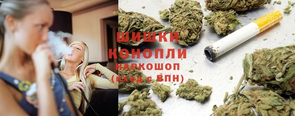 гидра Осинники