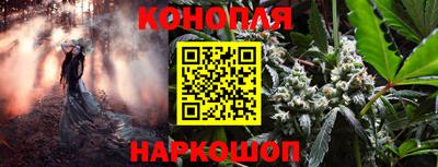 круглые Бийск