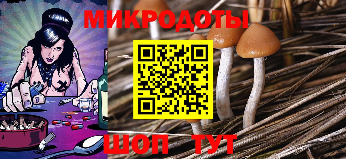 Галлюциногенные грибы Psilocybine cubensis  Вход с VPN  Богородск  Псилоцибиновые грибы Magic Shrooms 